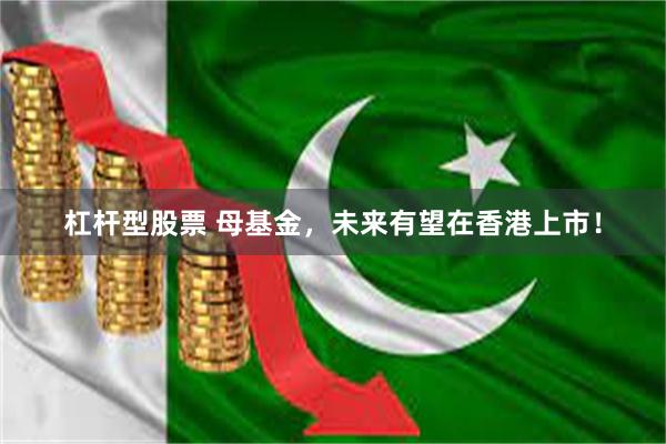 杠杆型股票 母基金，未来有望在香港上市！