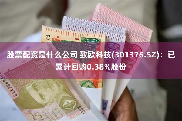 股票配资是什么公司 致欧科技(301376.SZ)：已累计回购0.38%股份