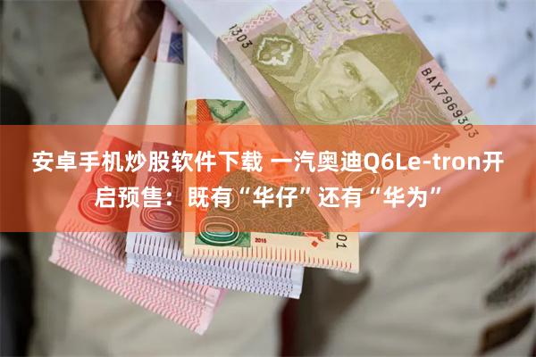 安卓手机炒股软件下载 一汽奥迪Q6Le-tron开启预售：既有“华仔”还有“华为”