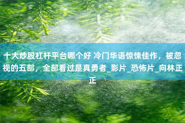 十大炒股杠杆平台哪个好 冷门华语惊悚佳作，被忽视的五部，全部看过是真勇者_影片_恐怖片_向林正
