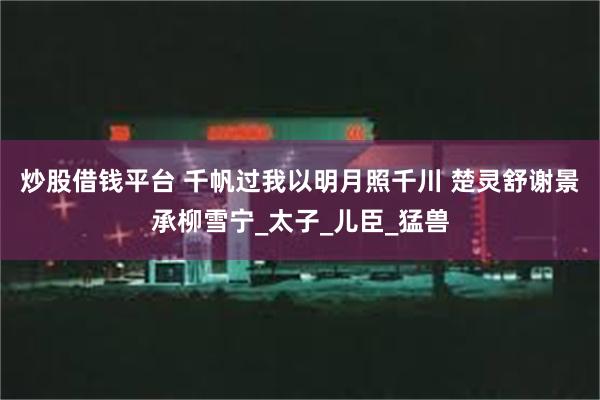 炒股借钱平台 千帆过我以明月照千川 楚灵舒谢景承柳雪宁_太子_儿臣_猛兽
