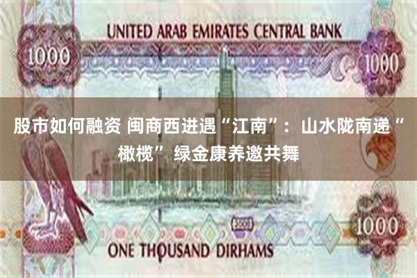 股市如何融资 闽商西进遇“江南”：山水陇南递“橄榄” 绿金康养邀共舞