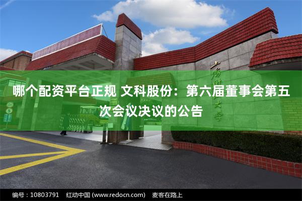 哪个配资平台正规 文科股份：第六届董事会第五次会议决议的公告