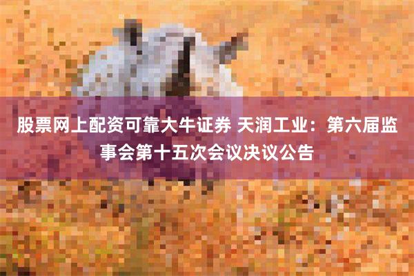 股票网上配资可靠大牛证券 天润工业：第六届监事会第十五次会议决议公告