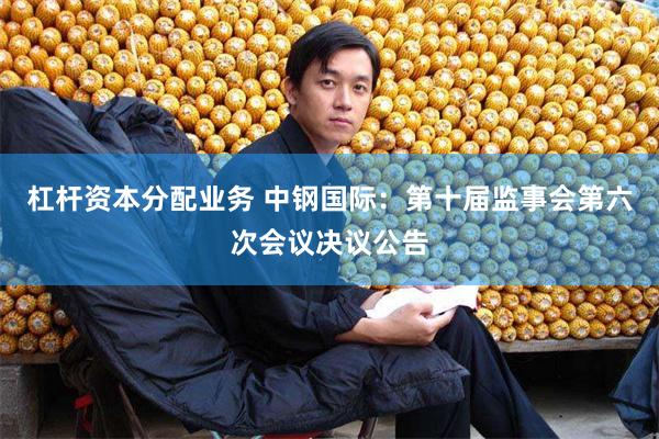 杠杆资本分配业务 中钢国际：第十届监事会第六次会议决议公告