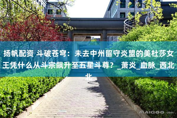 扬帆配资 斗破苍穹：未去中州留守炎盟的美杜莎女王凭什么从斗宗飙升至五星斗尊？_萧炎_血脉_西北