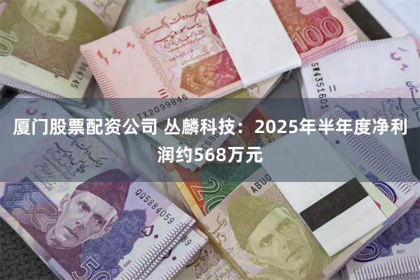 厦门股票配资公司 丛麟科技：2025年半年度净利润约568万元
