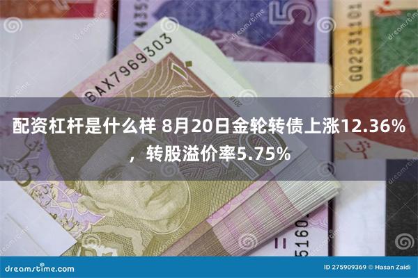 配资杠杆是什么样 8月20日金轮转债上涨12.36%，转股溢价率5.75%