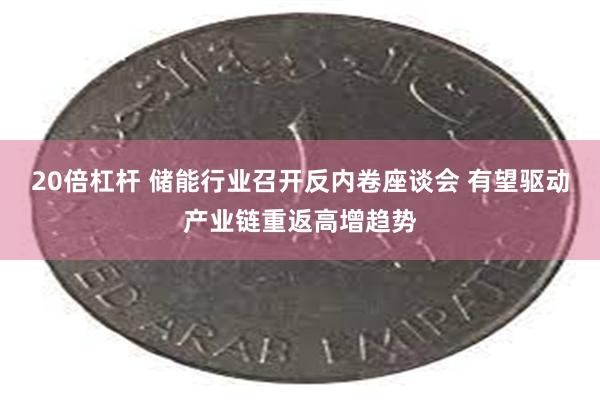 20倍杠杆 储能行业召开反内卷座谈会 有望驱动产业链重返高增趋势